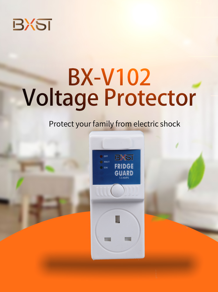 Détail du VLotage Protector (1)
