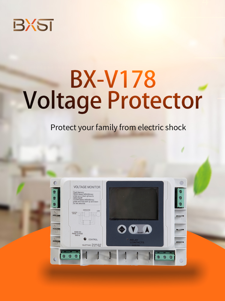 Détail du Vlotage Protector (1)
