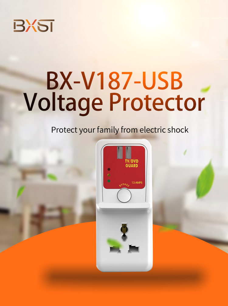 Détail du VLotage Protector (1)