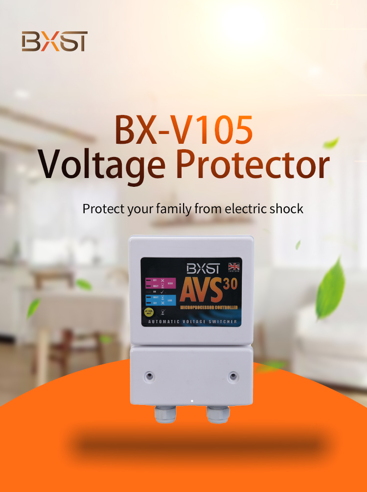 Détail du VLotage Protector (1)