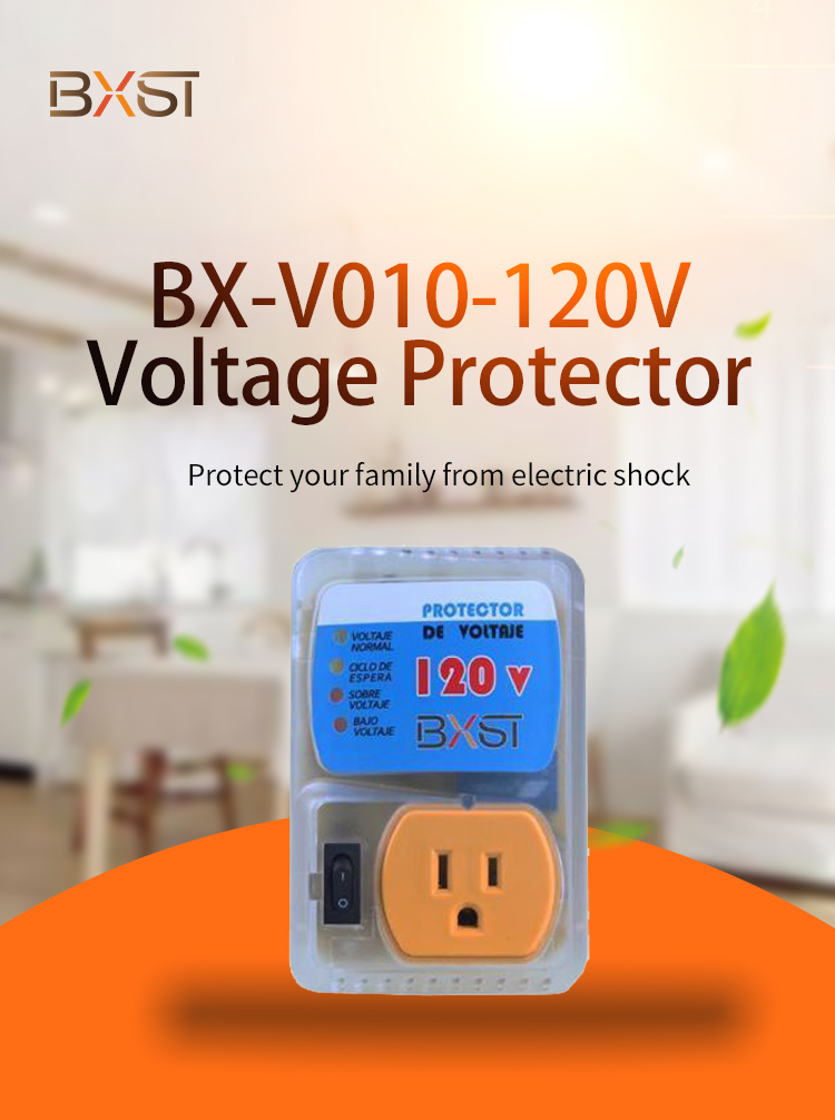 Détails du VLotage Protector (3)