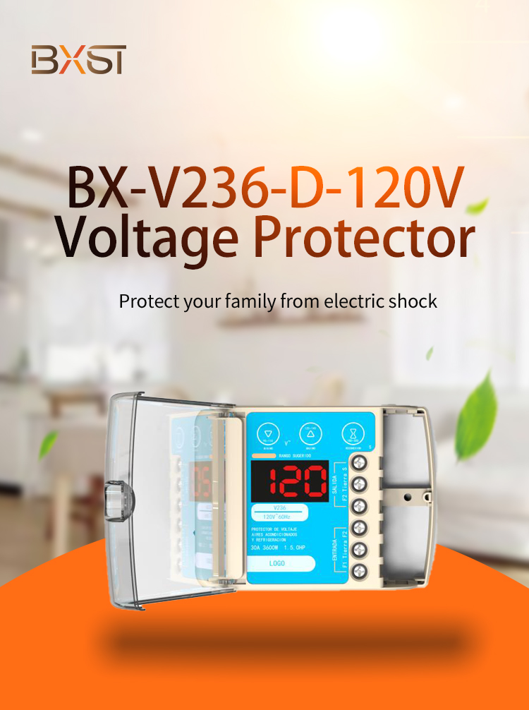 Détail du VLotage Protector (1)